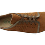 Naot Avena Womens Leather Comfortable Lace Up Shoes
