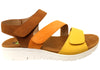 Dark Brown Orange Yellow