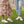 Cabello Comfort Ultimate Womens Leather European Leather Shoes