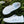 Cabello Comfort Ultimate Womens Leather European Leather Shoes