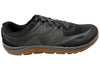 Black Gum