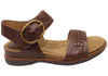 Cocoa Brown