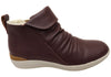 Dark Plum