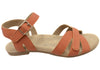 Terracotta