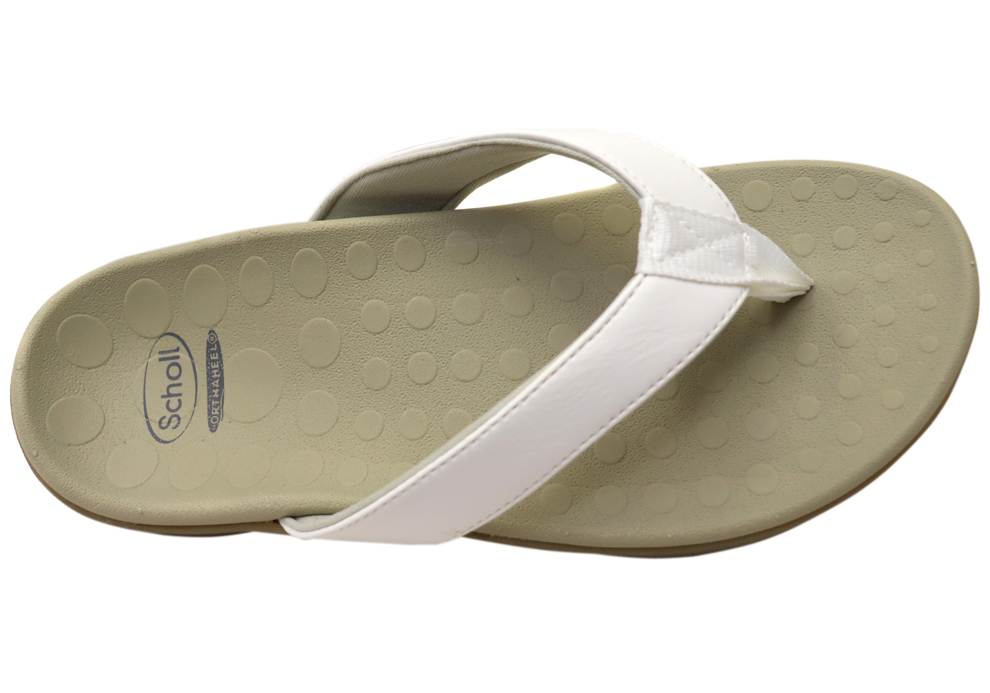 unique-id-d95c3d9d-6c6c-48f9-aff8-d10baf94220e