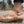 Orizonte Saxona Womens European Soft Leather Comfortable Sandals