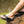 Pegada Blake Mens Comfortable Thongs Sandals Made In Brazil